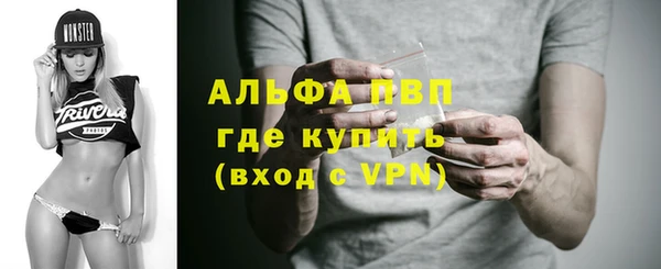 PSILOCYBIN Козловка