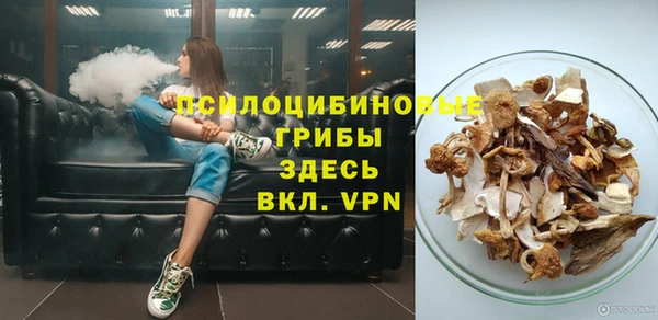 СК Кодинск