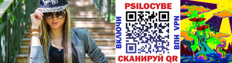 Купить  Циолковский  Галлюциногенные грибы Psilocybe 