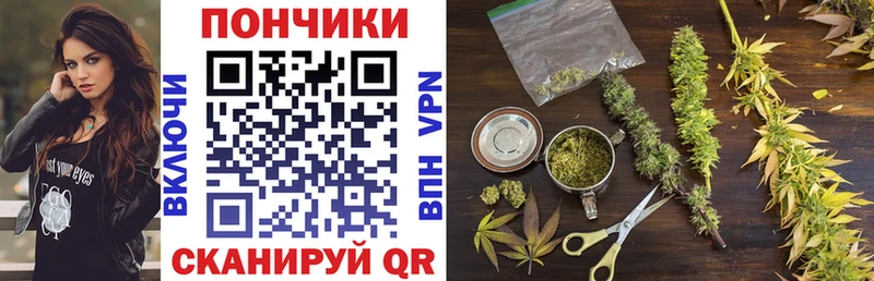Шишки марихуана LSD WEED  Купить где  Циолковский 
